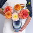 Load image into Gallery viewer, Slinky Stripe Slim Keith
