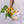 Load image into Gallery viewer, Ready to Ship- Medium Belly Bowl
