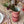 Load image into Gallery viewer, Chocolat - #6 Cylinder Vase
