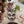 Load image into Gallery viewer, Chocolat- Slim Keith
