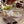 Load image into Gallery viewer, Set of 2 Placemats
