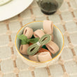 Load image into Gallery viewer, Pistachio Crème- Snackerby Bowl

