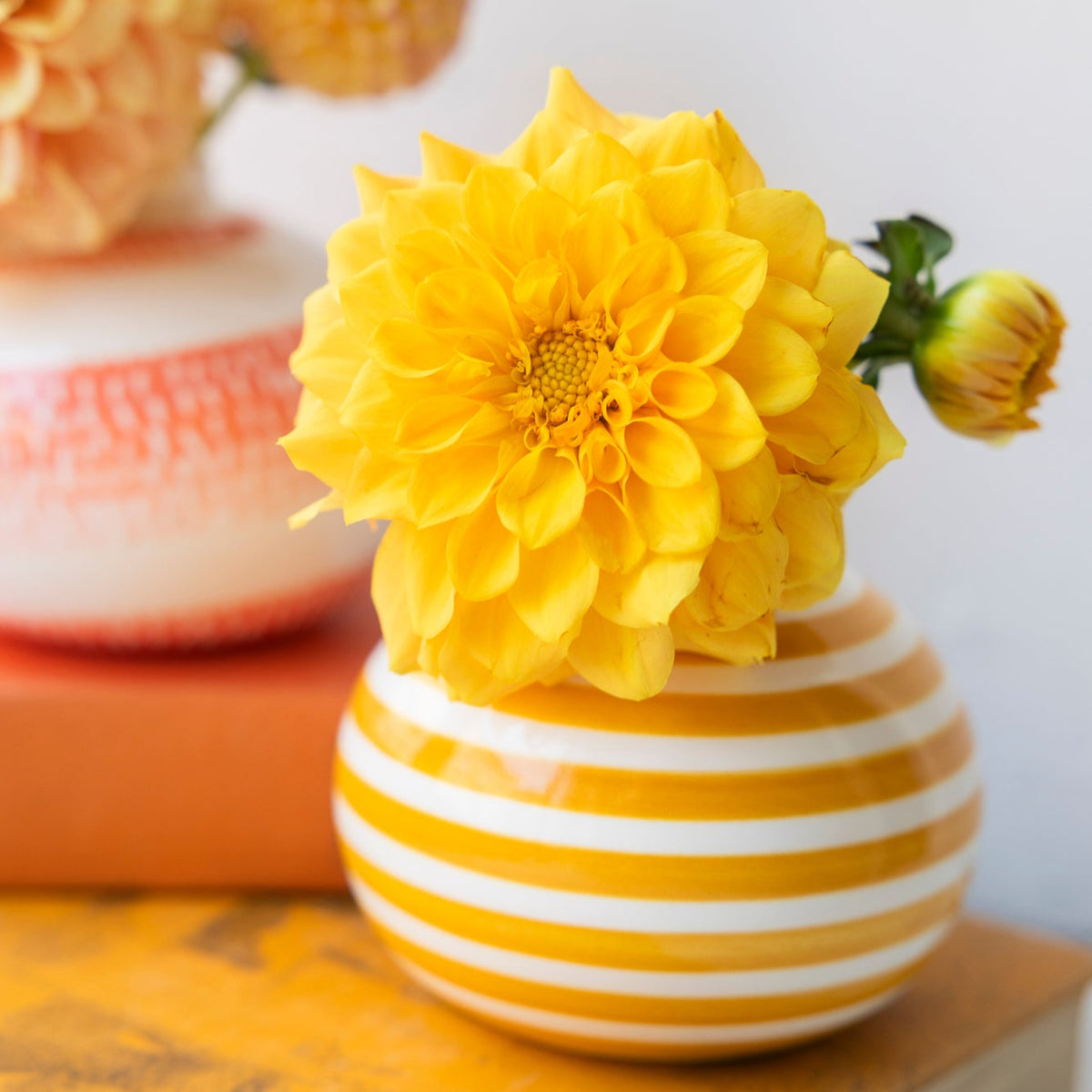 Slinky Stripe Bud Vase – Jill Rosenwald