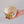 Load image into Gallery viewer, Cabin 6 Bowl
