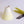 Load image into Gallery viewer, Candlestick and Tapers- Diet Chartreuse
