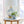 Load image into Gallery viewer, Jasmine Jilly Cup
