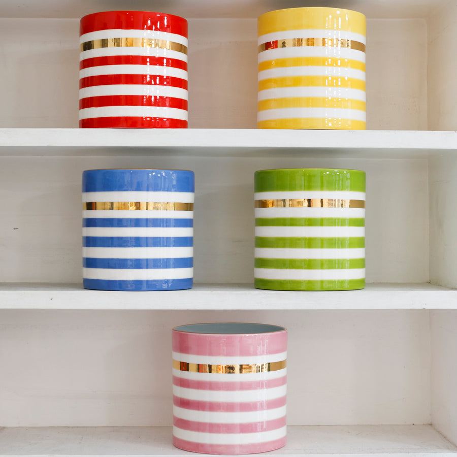 Lucky Stripe Orchid Vases