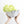 Load image into Gallery viewer, Sprout Large Bowl
