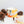 Load image into Gallery viewer, Louche Fireside Embers Double Wick Candle
